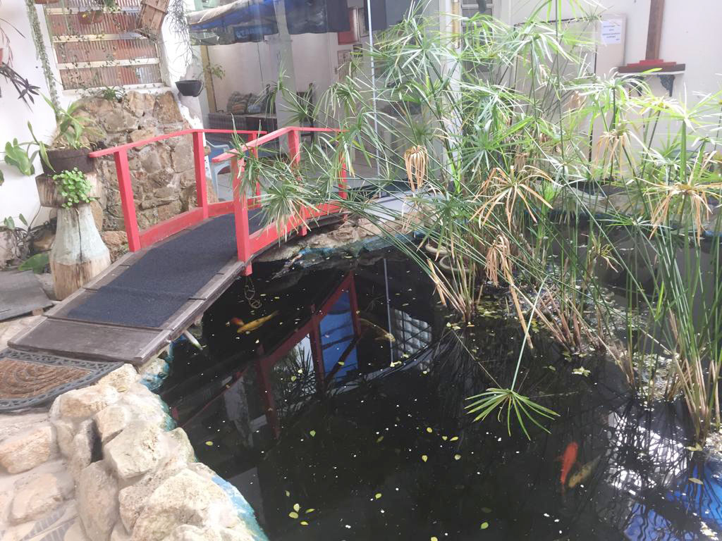 Lago com ponte e carpas no IKE Dojo