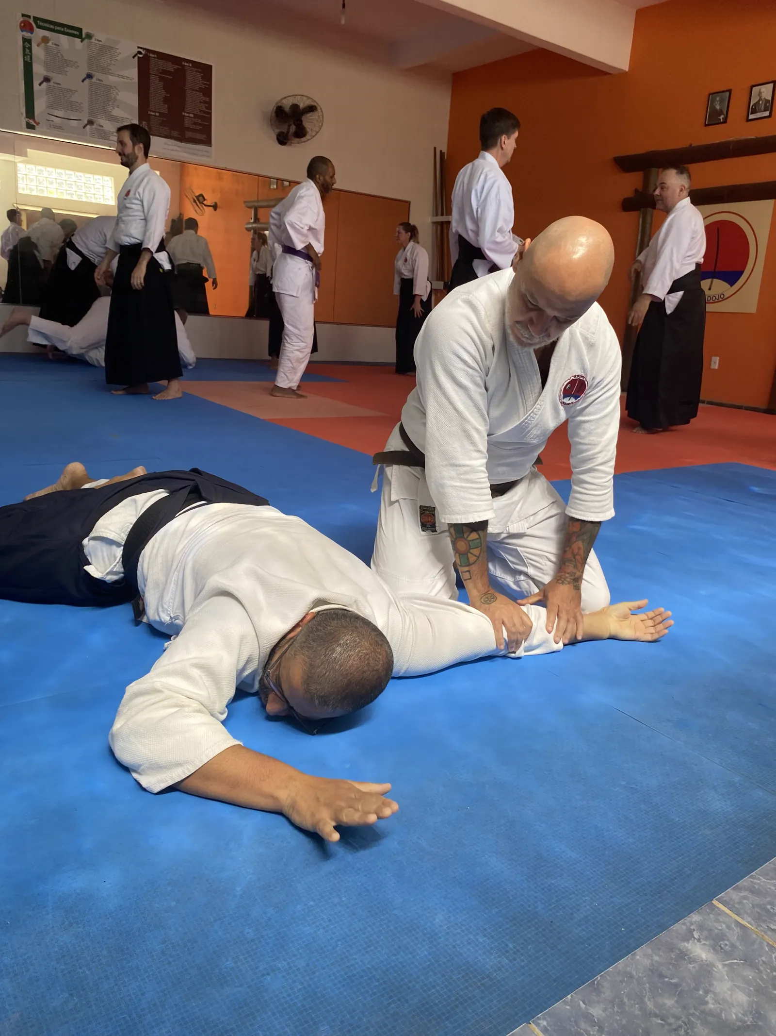 Imobilização durante prática de Aikido