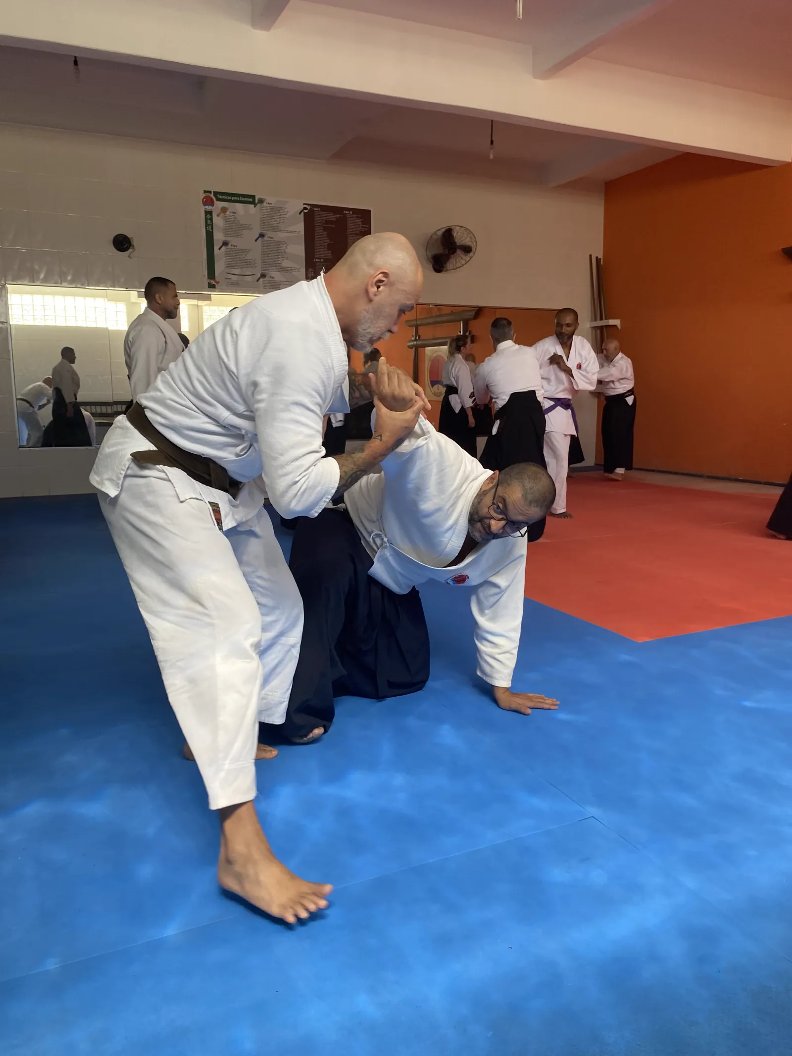 Sensei demonstrando técnica de projeção