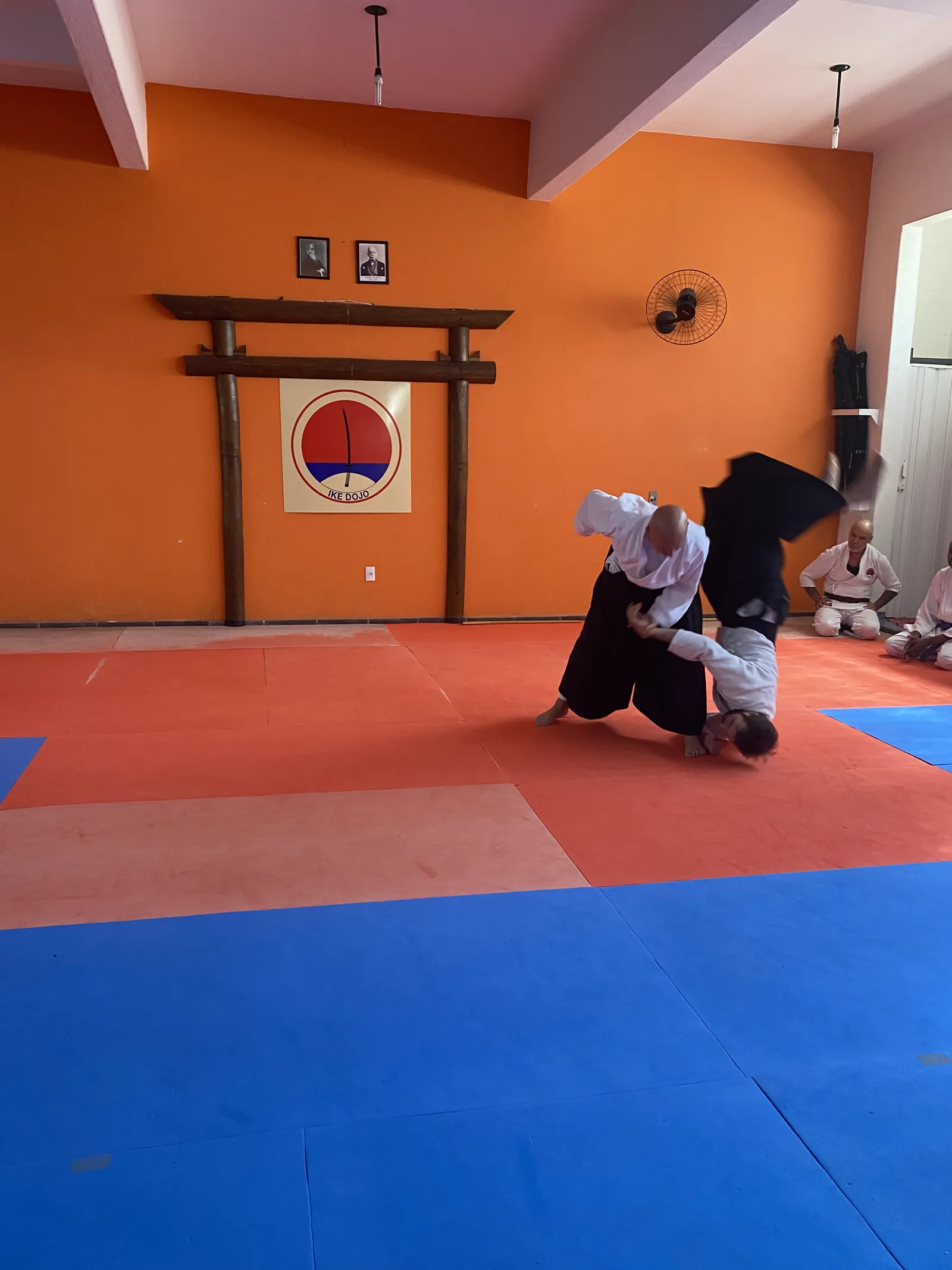 Projeção em treino de Aikido