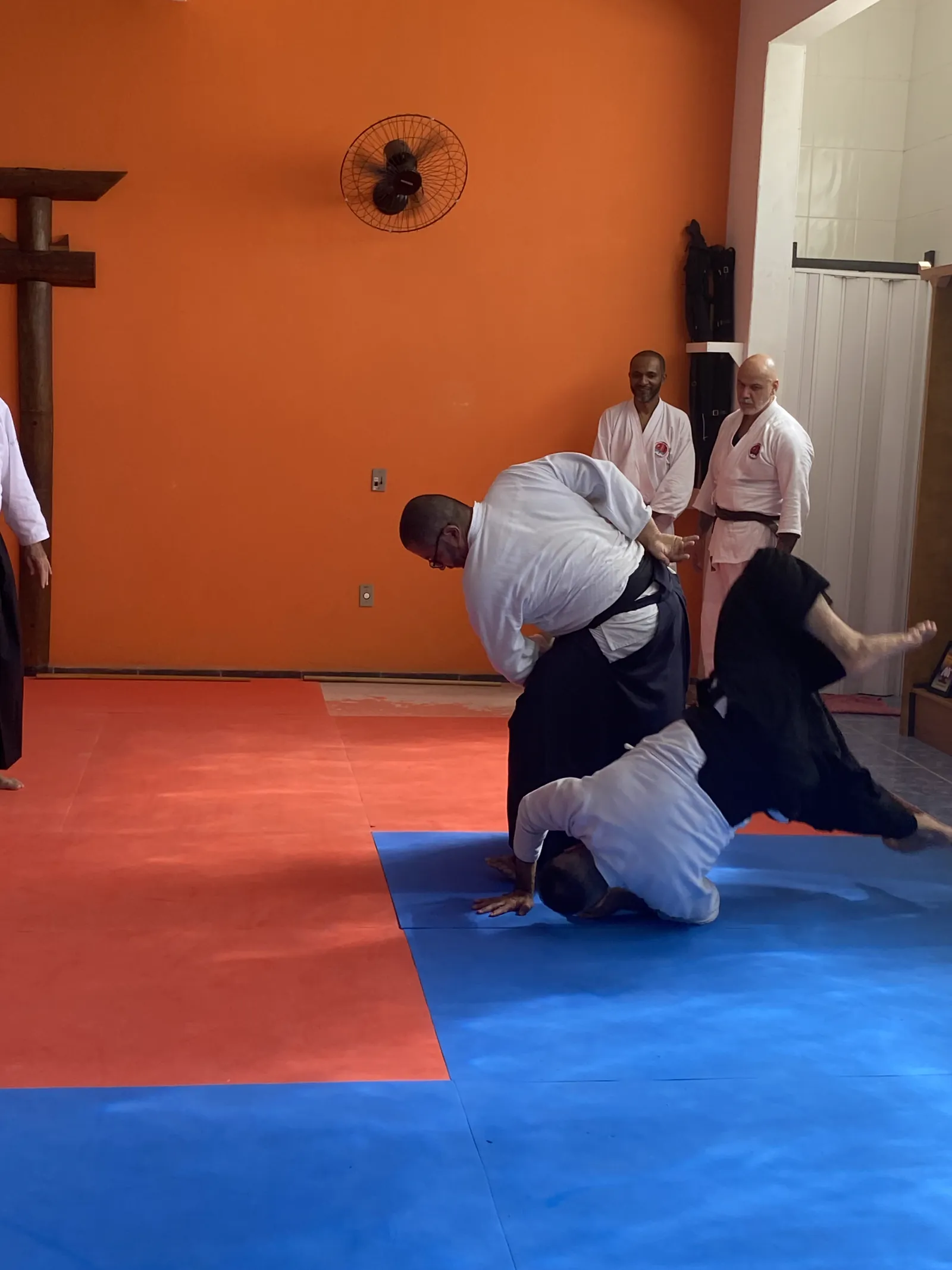Queda durante técnica de Aikido